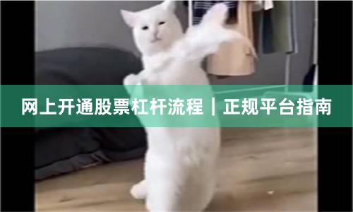 网上开通股票杠杆流程｜正规平台指南